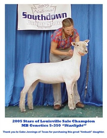 2005 Starlight